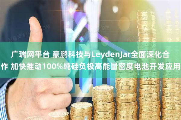 广瑞网平台 豪鹏科技与LeydenJar全面深化合作 加快推动100%纯硅负极高能量密度电池开发应用