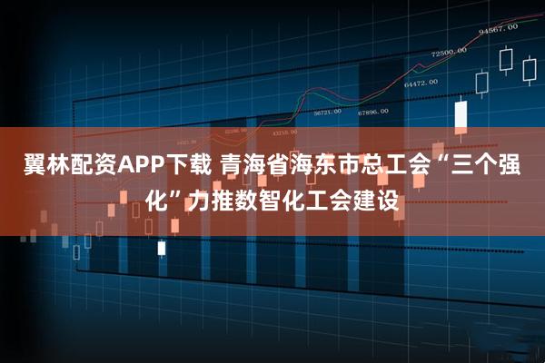 翼林配资APP下载 青海省海东市总工会“三个强化”力推数智化工会建设