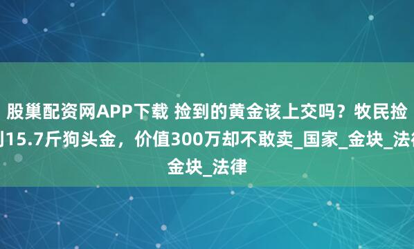股巢配资网APP下载 捡到的黄金该上交吗？牧民捡到15.7斤狗头金，价值300万却不敢卖_国家_金块_法律