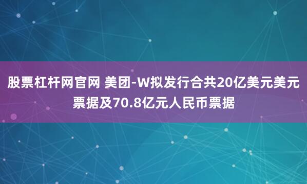 股票杠杆网官网 美团-W拟发行合共20亿美元美元票据及70.8亿元人民币票据