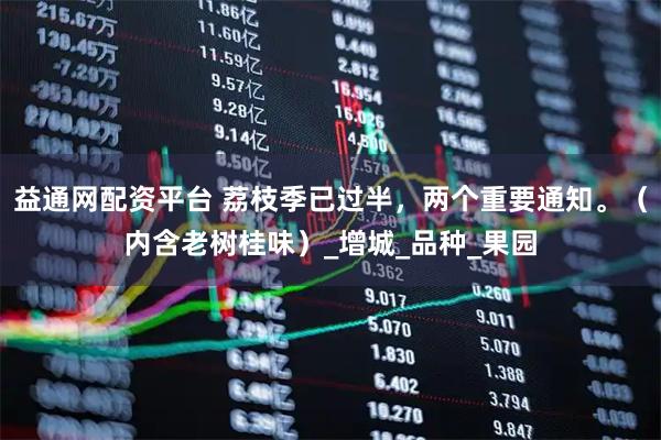 益通网配资平台 荔枝季已过半，两个重要通知。（内含老树桂味）_增城_品种_果园