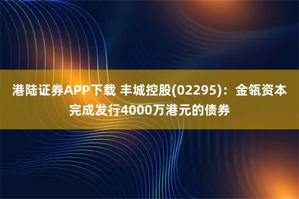 港陆证券APP下载 丰城控股(02295)：金瓴资本完成发行4000万港元的债券