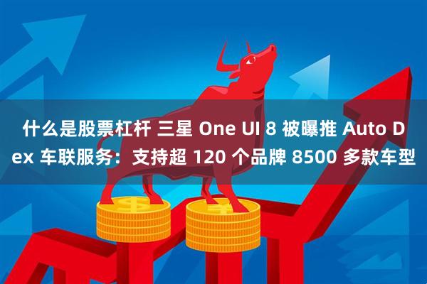 什么是股票杠杆 三星 One UI 8 被曝推 Auto Dex 车联服务：支持超 120 个品牌 8500 多款车型