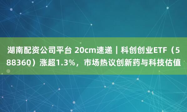 湖南配资公司平台 20cm速递｜科创创业ETF（588360）涨超1.3%，市场热议创新药与科技估值